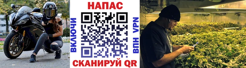 МЕГА онион  наркота  Лихославль  Бошки марихуана сатива 